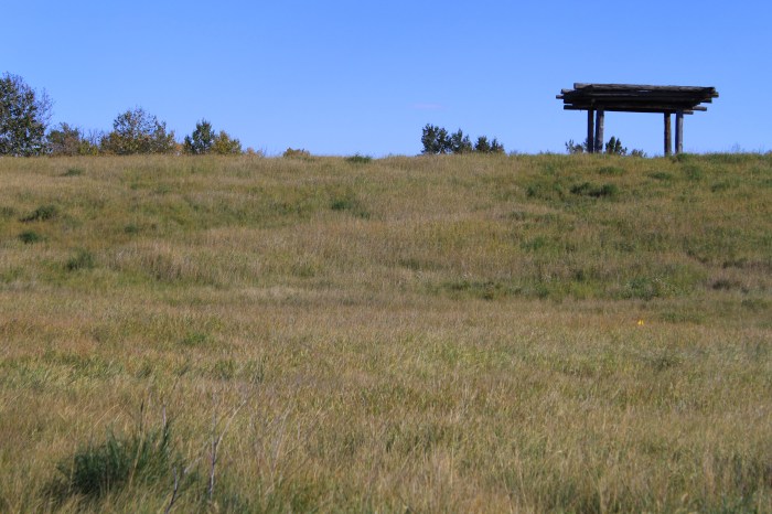 inglewood-wildlands-6-altered