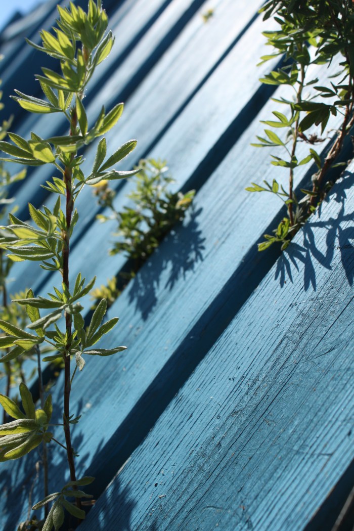 photography-sample-2