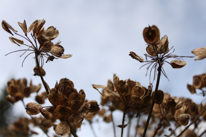 photography-sample-3