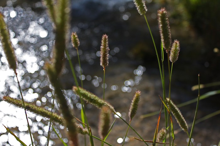 photography-sample-5