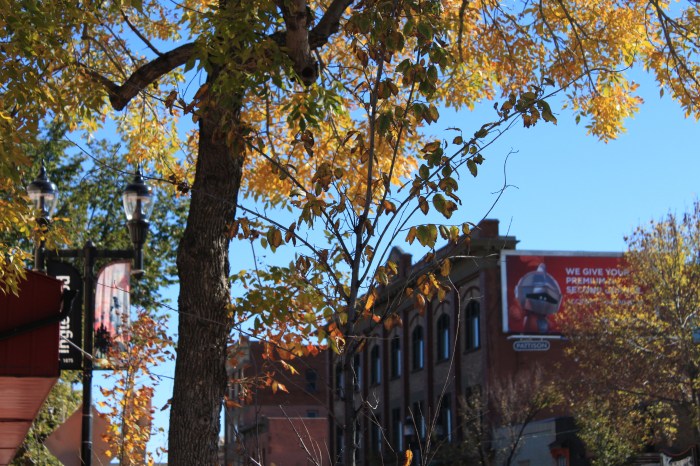 scenery-shot-1-altered